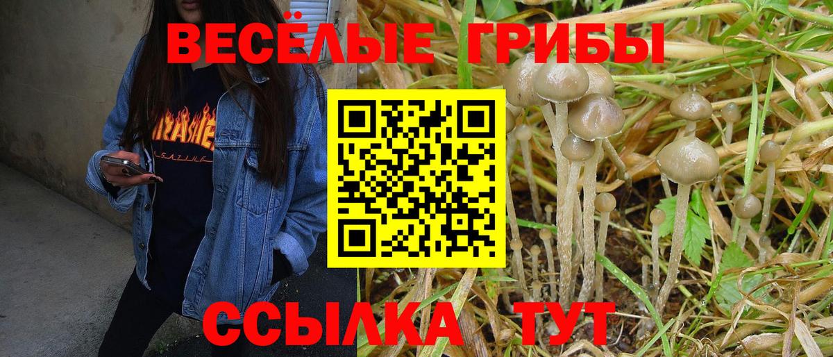 Псилоцибиновые грибы мицелий Реутов